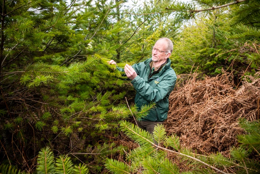 John Wilding assesses young woodland on Otterton Hill