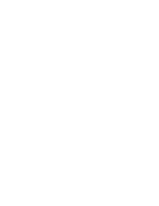 2030 strategy logo@2x