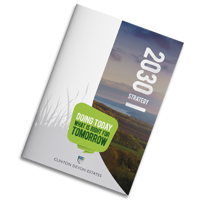 Cde 2030 doc mockup v2