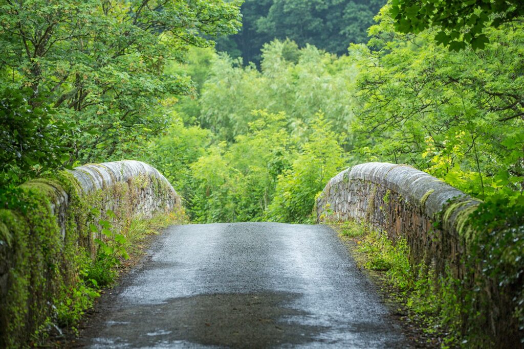 69269191 2847407491953877 7601866078381146112 o