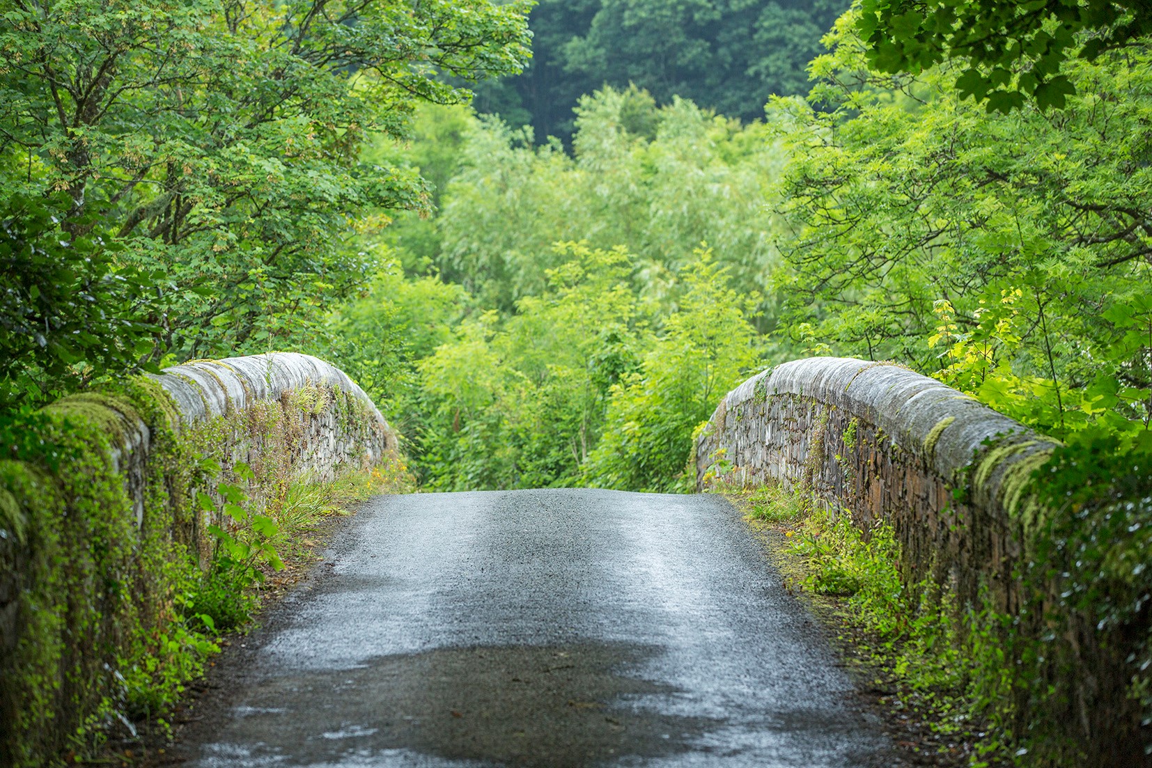 69269191 2847407491953877 7601866078381146112 o