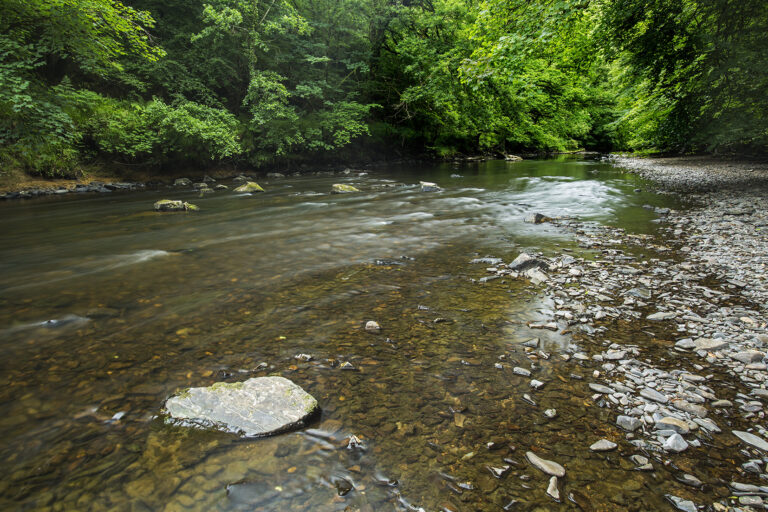 ESTATE TEAMS UP WITH PARTNERS ON WATER RESTORATION PROJECT