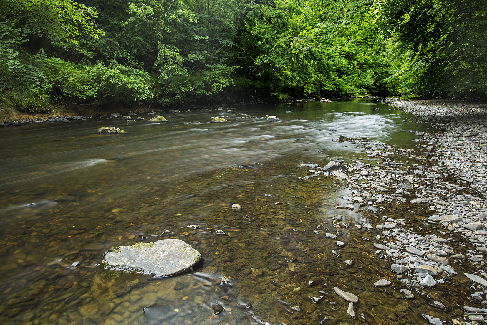 A stream within the torridge catchment