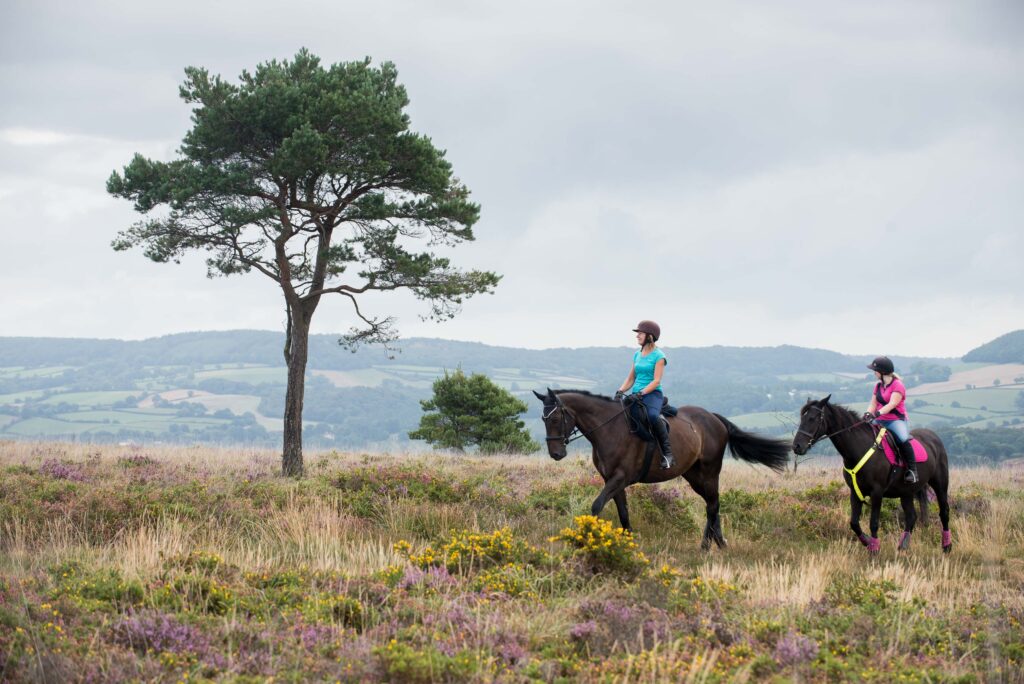 © guy newman. 17.08.2018 launch of horse riding code on the pebblebed heaths
