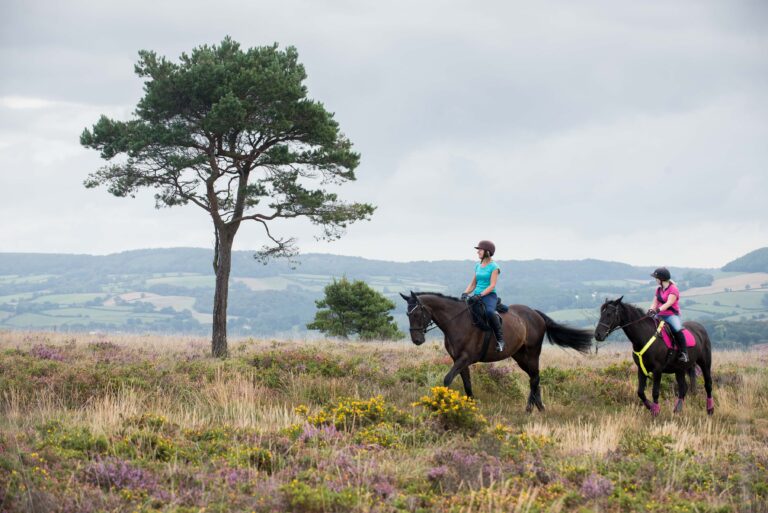 Horse riding in harmony with the heaths