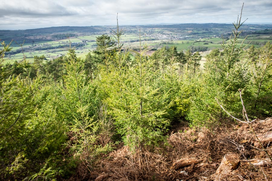 Cde ottertonsustainability 8