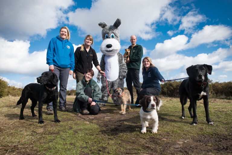 Dog owners urged to keep dogs on paths to help protect nesting birds on Pebblebed Heaths
