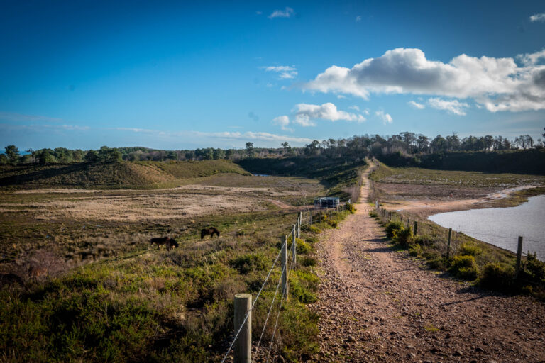 Blackhill Quarry application – the facts