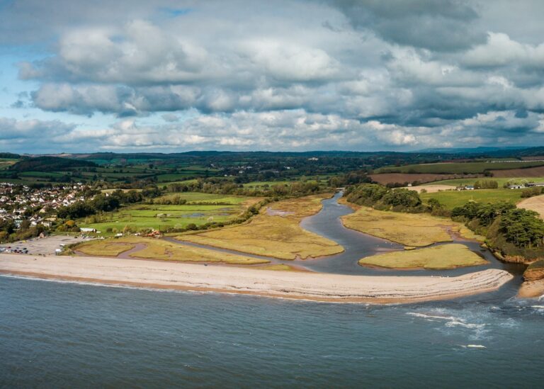 Lower Otter Restoration Project saves rare plants from sea level rise