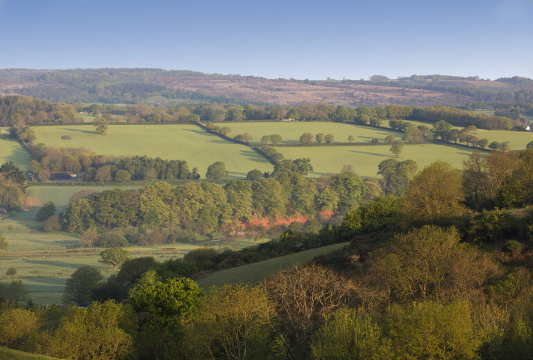 Clinton Devon Estates features in Knight Frank’s Rural Report