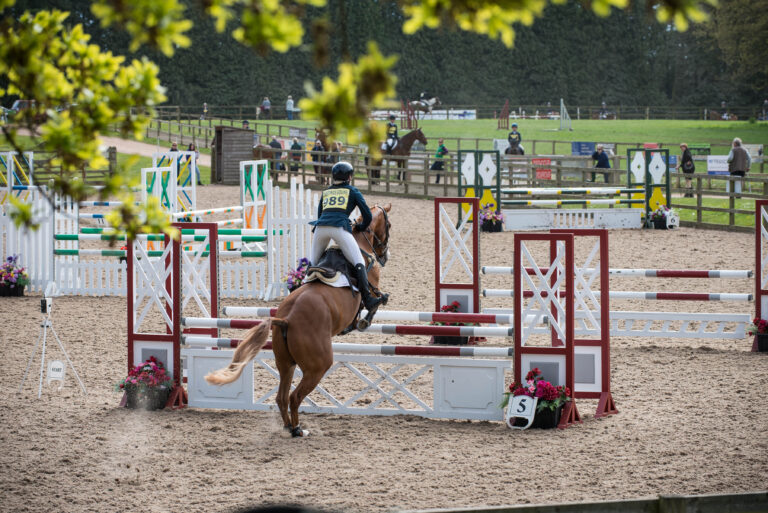 Bicton Arena named Britain’s top show centre