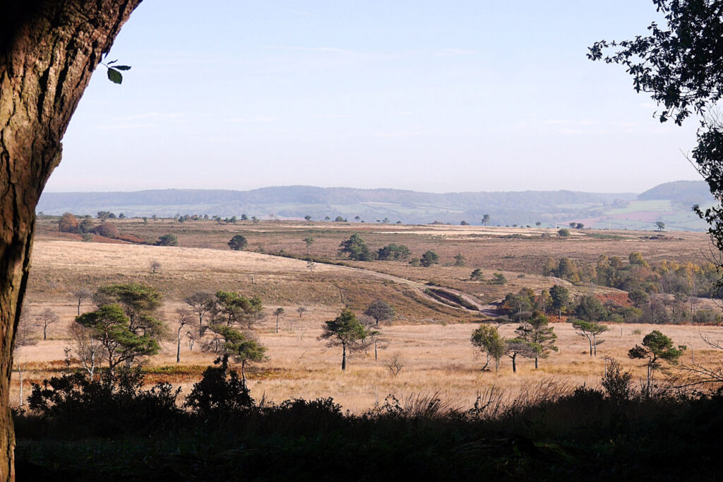 New barbara mellor 1 scaled