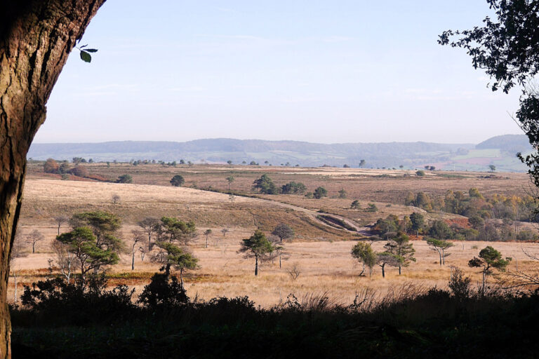 Final call for entries for unique heathland photography project