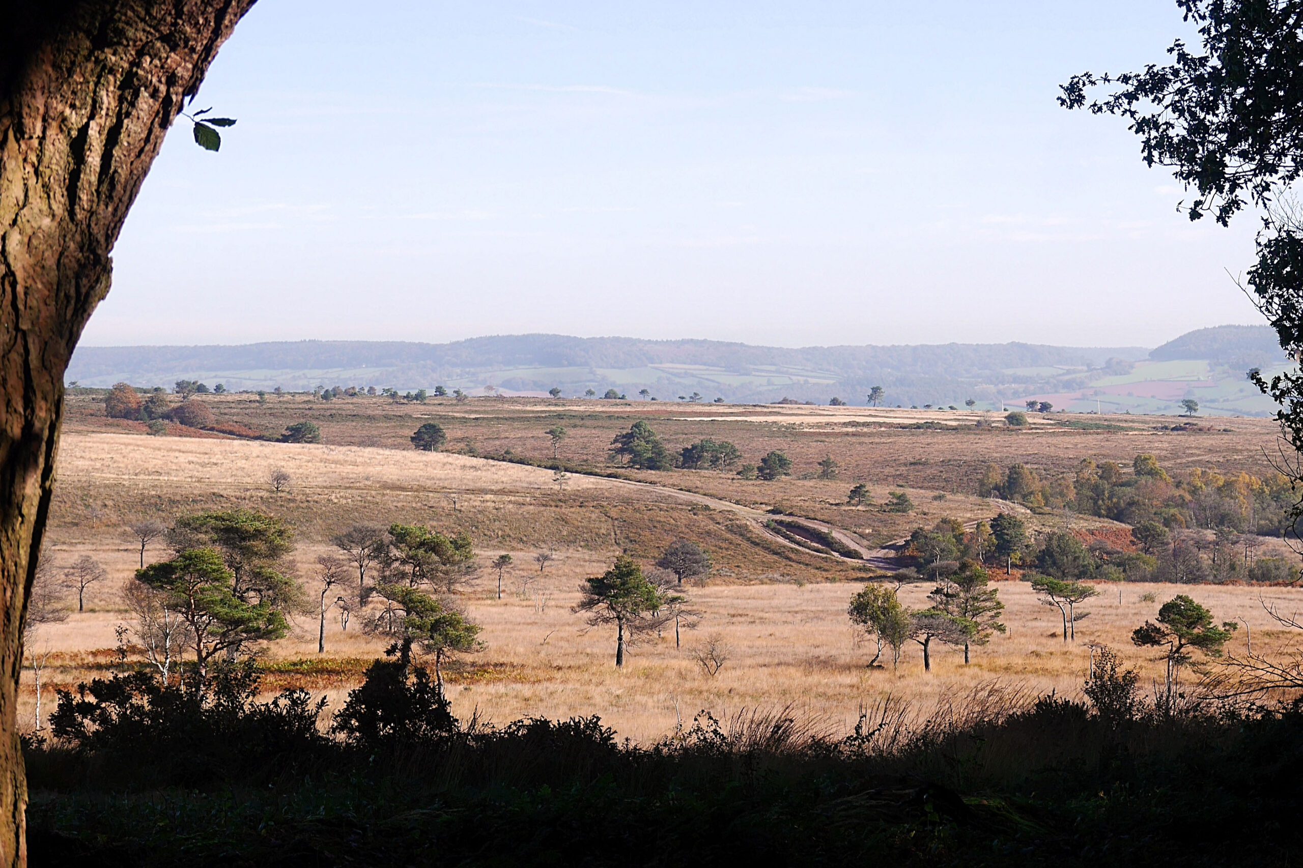 New Barbara Mellor 1 scaled