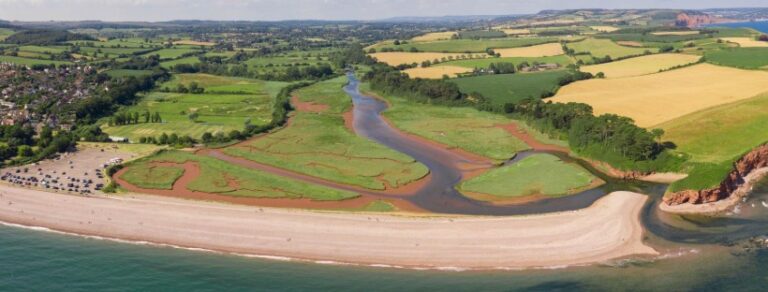 International recognition for Lower Otter Restoration Project