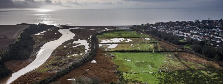 Lower Otter Restoration Project approved by councillors