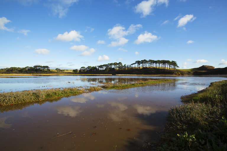Letter of support to East Devon District Council, Principal Planning Officer in reference to the Lower Otter Restoration Project