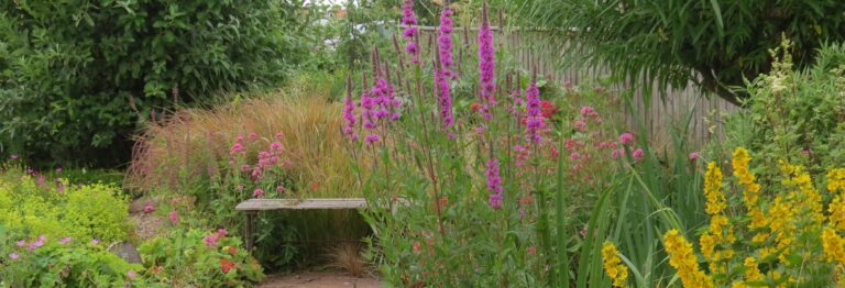 Clinton Devon Estates supports bat-friendly wildflower gardens