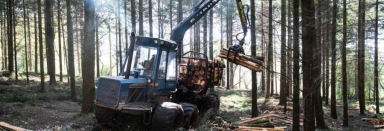 Essential forestry work continues at Clinton Devon Estates during Covid-19 crisis
