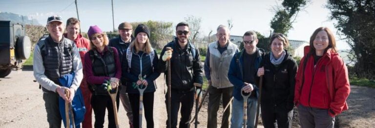 Volunteers join forces to plant a ‘bat corridor’ in Beer