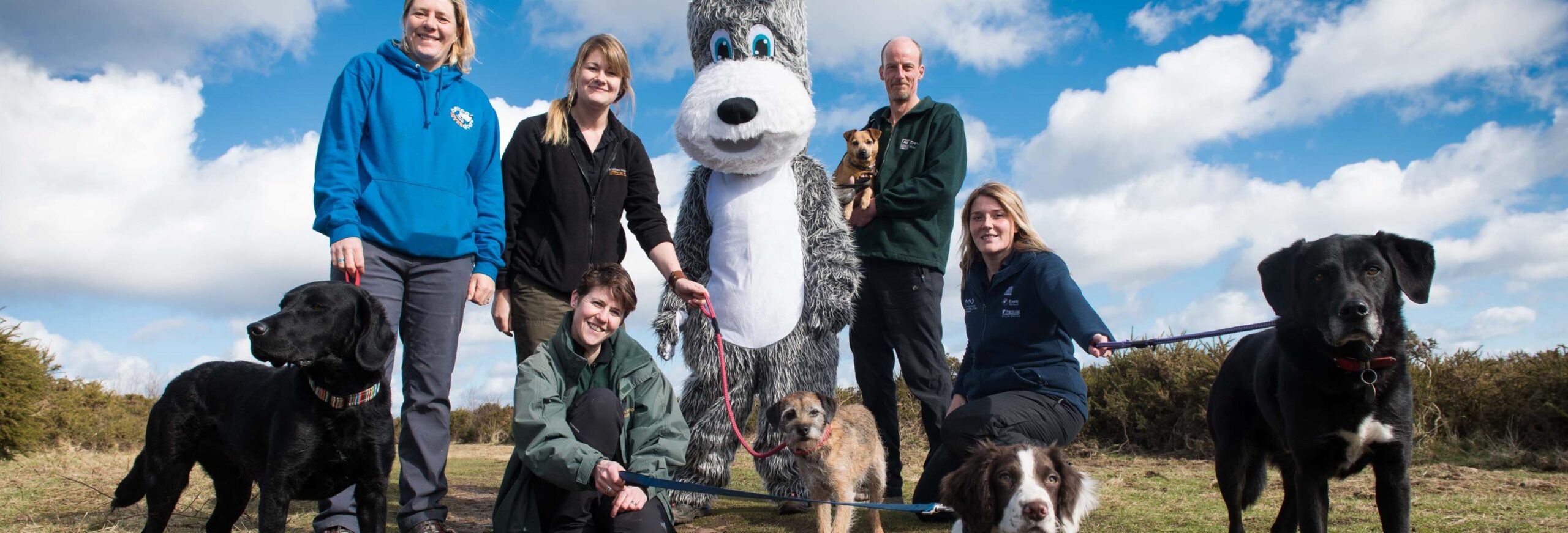 Linkedin Banner CDE ResponsibleDogOwners