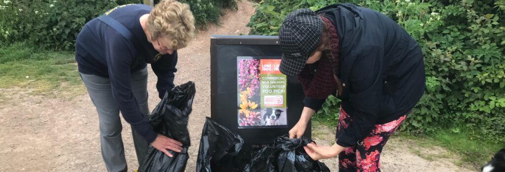 Linkedin banner commerical dog walkers at a volunteer poo pick on the pebblebed heaths
