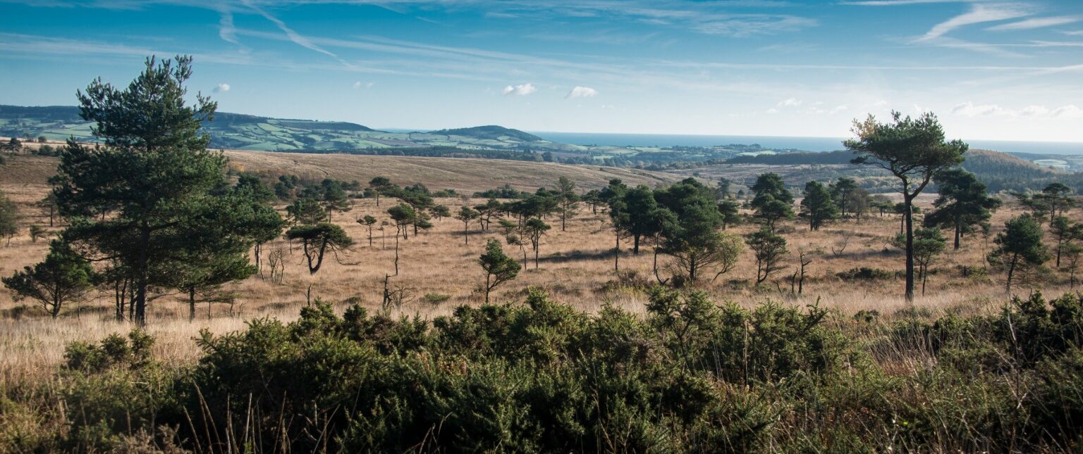 Linkedin company cover e1614178159549