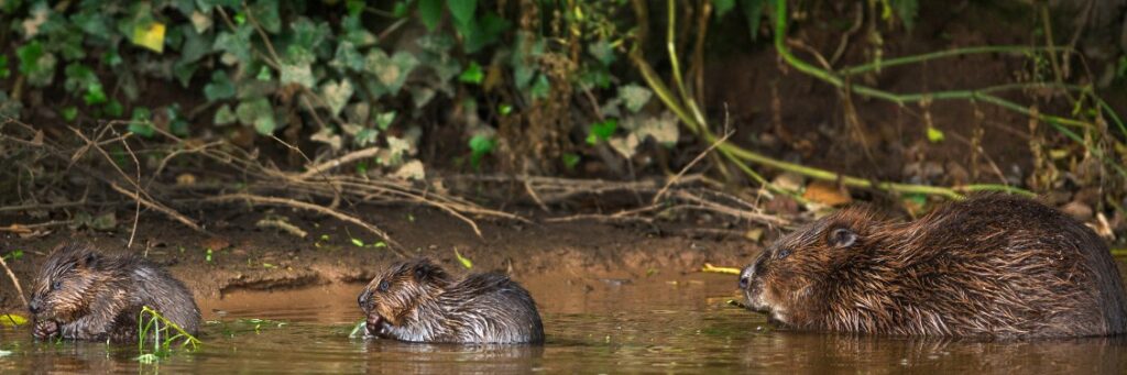 Linkedin company main image