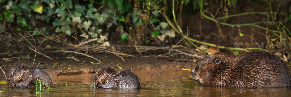 Linkedin company main image