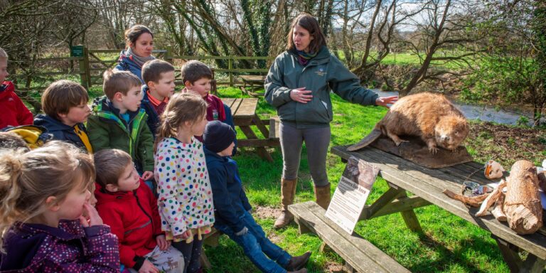 Learning where bread comes from in one of Britain’s oldest working mills