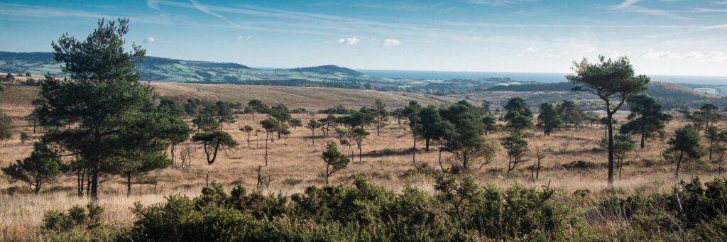 Twitter header photo